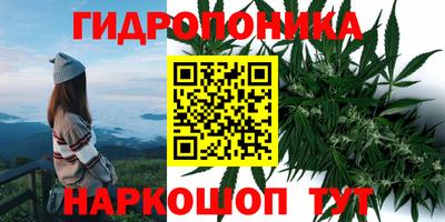 гидра Гусь-Хрустальный