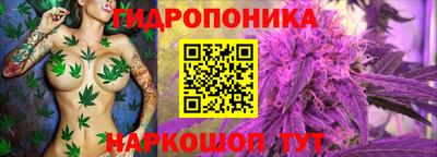 прущие крисы Гусиноозёрск