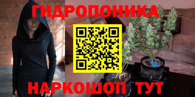 гидра Гусь-Хрустальный